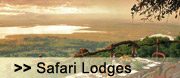 Safari Lodges